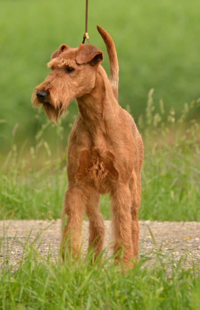 DSC_0451-661x1024
